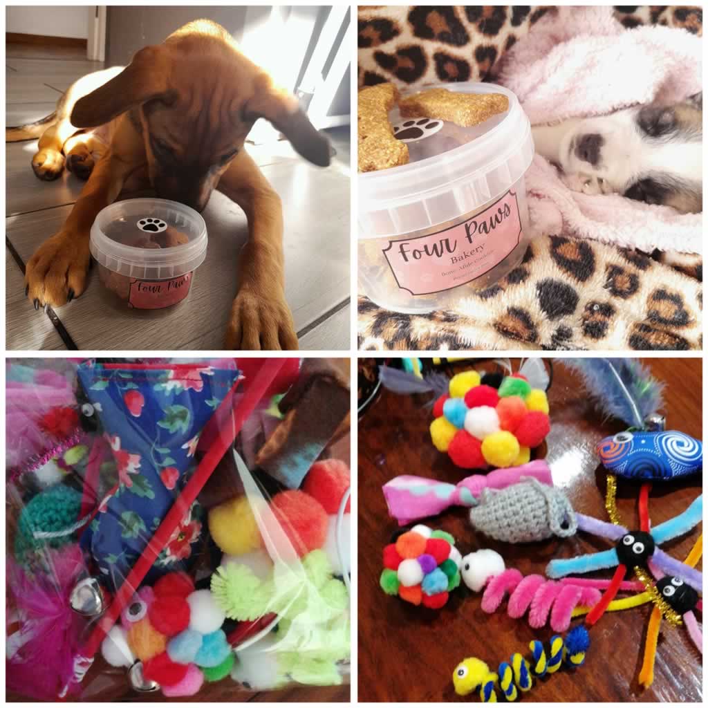 Helderberg Animal Rescue Team (HART)